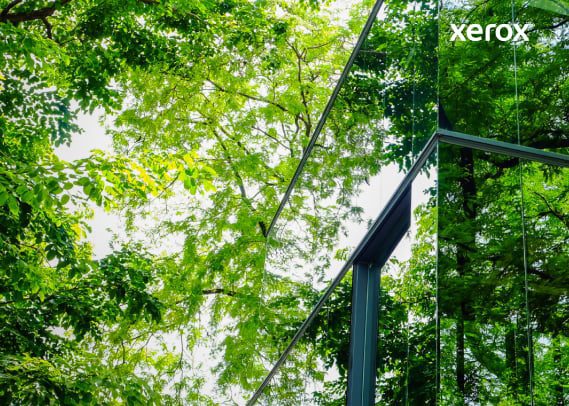 Reflejo de árboles visibles en la fachada de vidrio de un edificio moderno, que crea una combinación armoniosa de naturaleza y arquitectura. Reflejo de árboles visibles en la fachada de vidrio de un edificio moderno, que crea una combinación armoniosa de naturaleza y arquitectura.