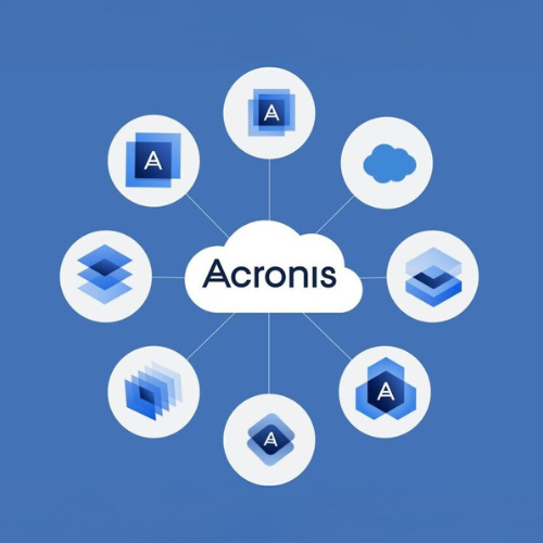 Acronis - Gestión 4